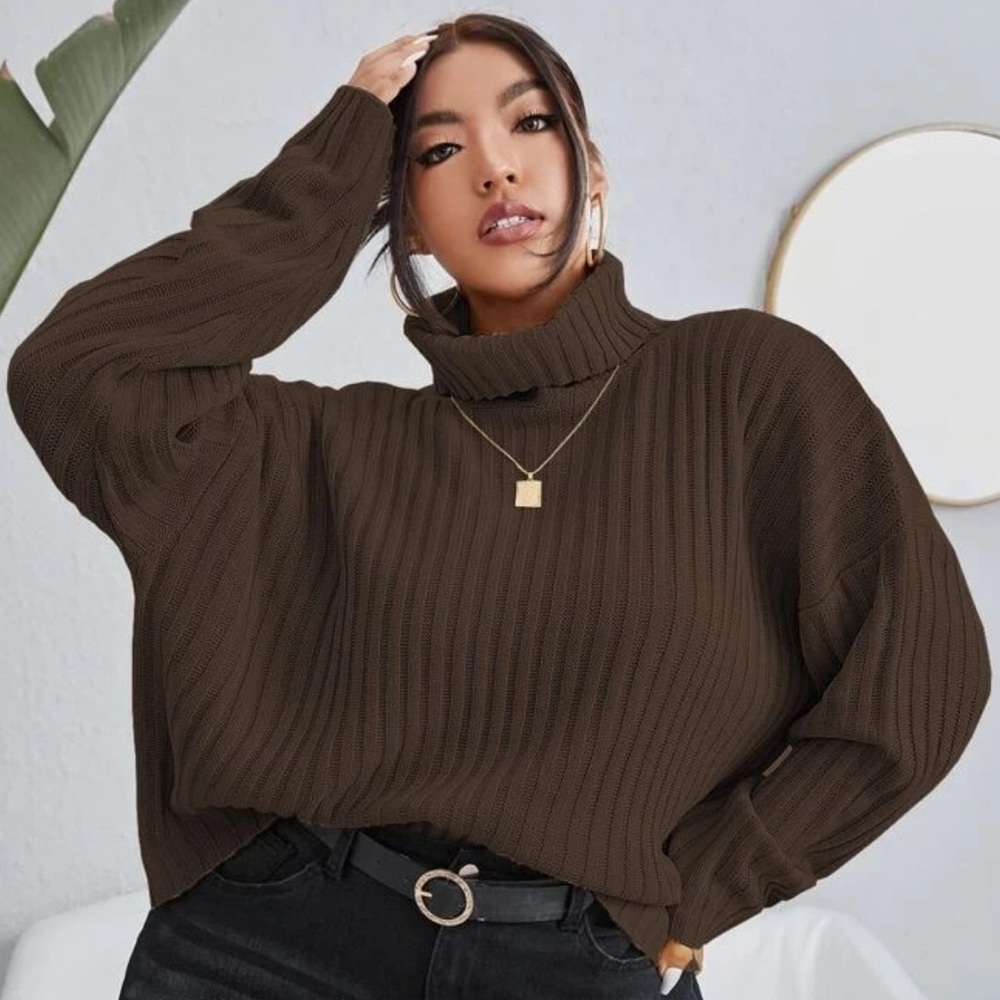 Brown Cozy Turtleneck Sweater